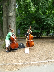 Some musicians in Central Park